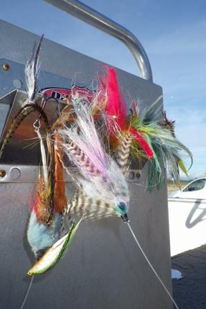 Fly fishing sur le lac du Der en Champagne Fly fishing sur le lac du Der en Champagne