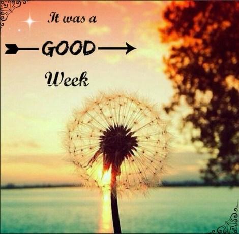 Eclectik Girl good day