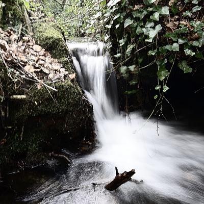 Produire de l’électricité dans son ruisseau : Turbiwatt, Lorient, relance la technologie Cours d'eau dans le bois du Nevet, Locronan - crédit photo erwan foto