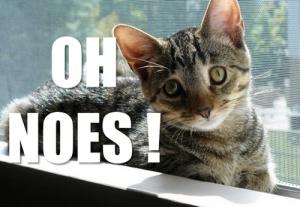 Nos quartchiers ont du talent oh noes !