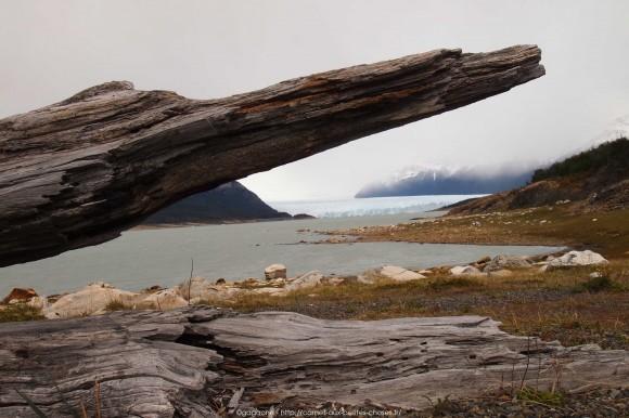 La steppe patagonienne et randonnée sur le Lago Argentino, Alternative tour El Calafate – Perito Moreno tour-alternatif-parc-glaciers-perito-moreno-patagonie-44_gagaone