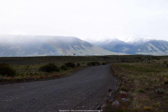 La steppe patagonienne et randonnée sur le Lago Argentino, Alternative tour El Calafate – Perito Moreno tour-alternatif-parc-glaciers-perito-moreno-patagonie-15_gagaone