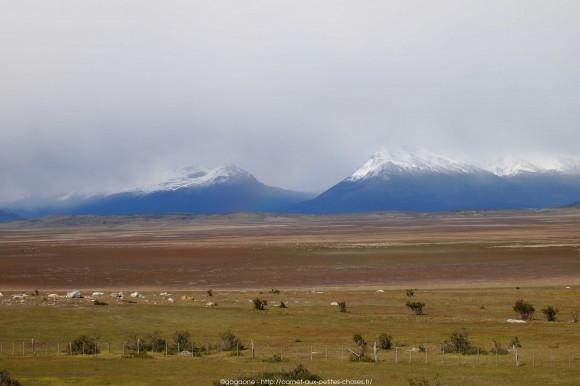 La steppe patagonienne et randonnée sur le Lago Argentino, Alternative tour El Calafate – Perito Moreno tour-alternatif-parc-glaciers-perito-moreno-patagonie-21_gagaone