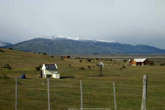 La steppe patagonienne et randonnée sur le Lago Argentino, Alternative tour El Calafate – Perito Moreno tour-alternatif-parc-glaciers-perito-moreno-patagonie-19_gagaone