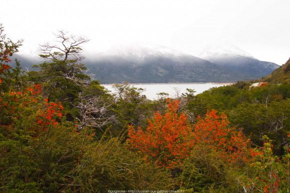 La steppe patagonienne et randonnée sur le Lago Argentino, Alternative tour El Calafate – Perito Moreno tour-alternatif-parc-glaciers-perito-moreno-patagonie-26_gagaone