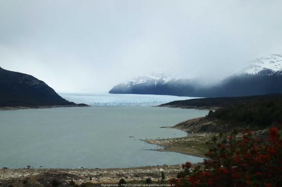 La steppe patagonienne et randonnée sur le Lago Argentino, Alternative tour El Calafate – Perito Moreno tour-alternatif-parc-glaciers-perito-moreno-patagonie-24_gagaone