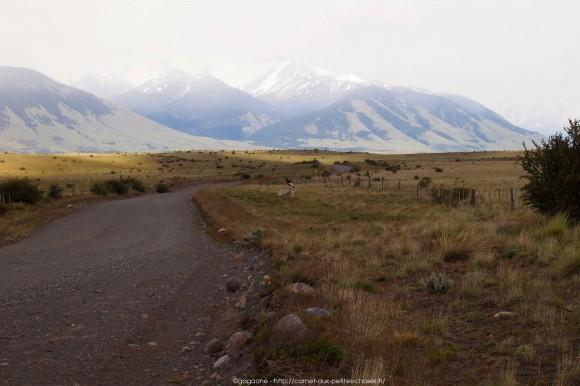 La steppe patagonienne et randonnée sur le Lago Argentino, Alternative tour El Calafate – Perito Moreno tour-alternatif-parc-glaciers-perito-moreno-patagonie-11_gagaone