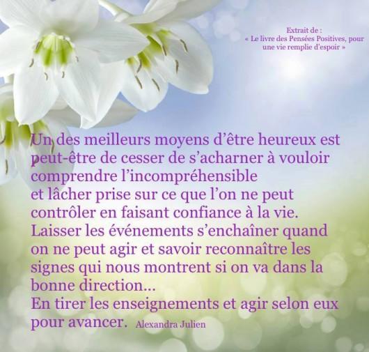 Existence Conscience Béatitude excellent