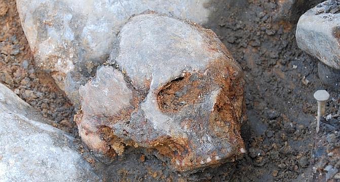 L’ADN prélevé sur ce crâne d’une femme chasseur-cueilleur datant d’il y a 8000 ans,  découvert à Motala en Suède, permet de retracer l’histoire de la population européenne. (Fredrik Hallgren) 