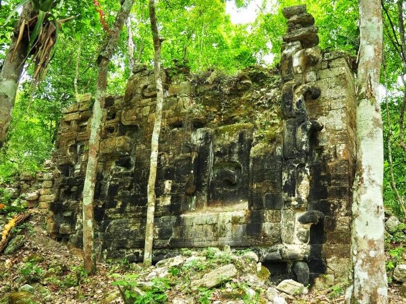 Deux cités Mayas découvertes dans la jungle Mexicaine