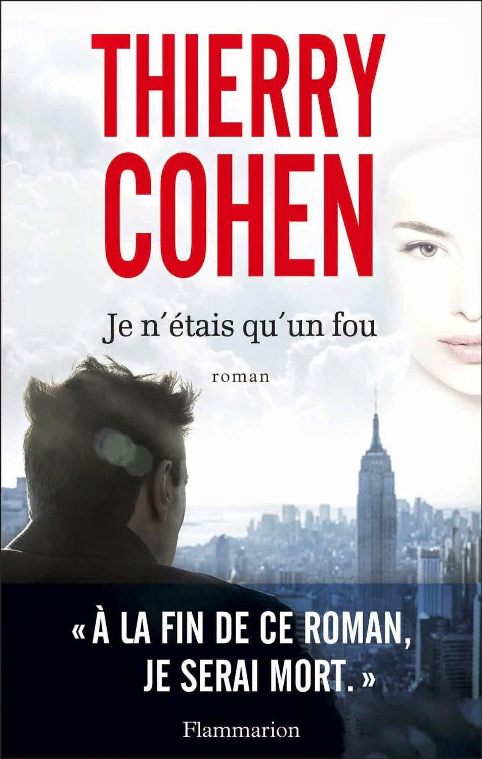 Je n'étais qu'un fou (Thierry Cohen)