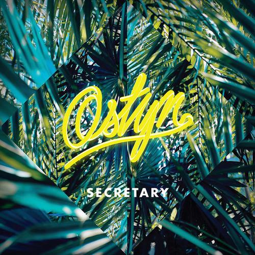 ostyn-secretary-single-cover