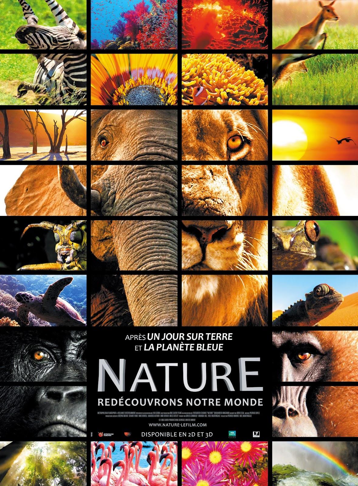 Découvrez Nature le 24/12 au cinéma !