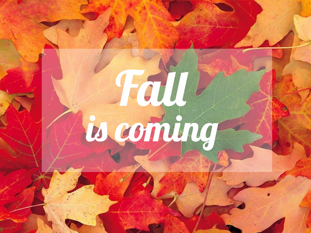 Fall is coming