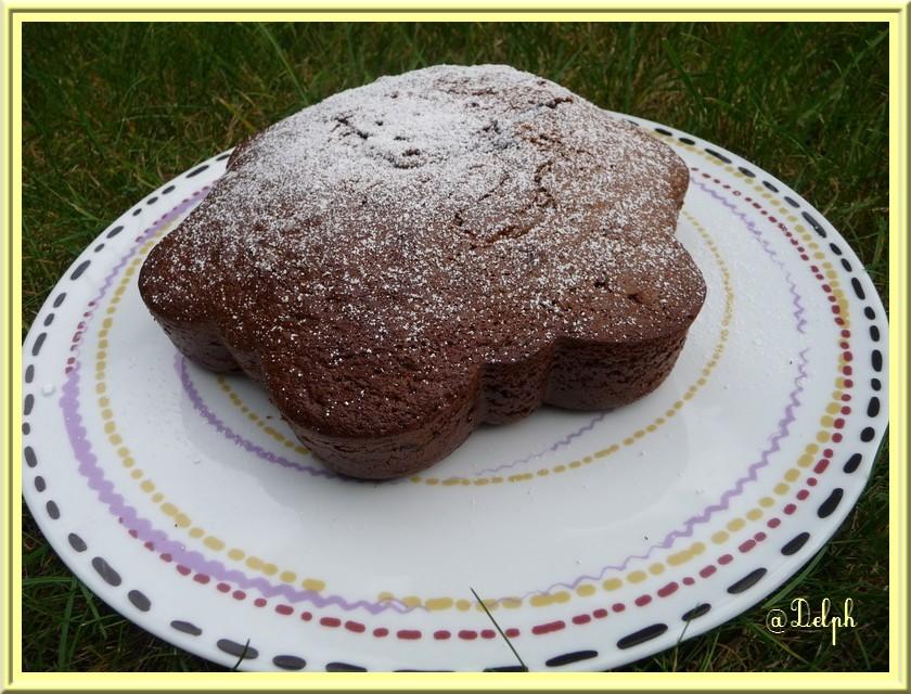 Gâteau à la danette Gâteau à la danette