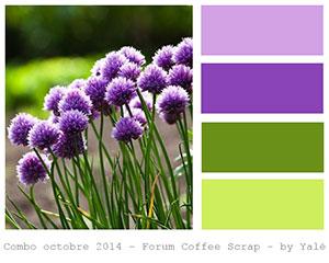 01_com12 Carte scrap #13 – #14