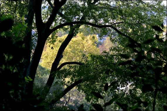 Jardins et nouvelle heure Jardins de la Fontaine, Nîmes, Parcs, Jardins publics, poissons, nymphée, couleurs