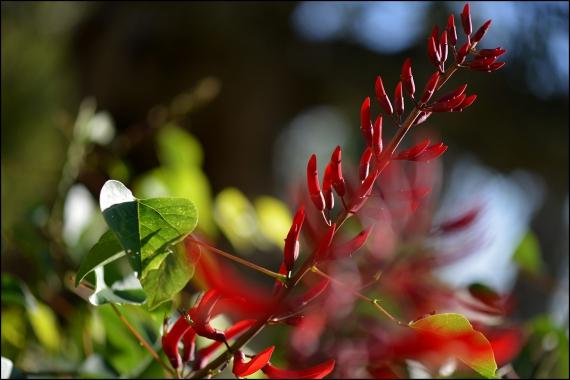 Jardins et nouvelle heure Jardins de la Fontaine, Nîmes, Parcs, Jardins publics, poissons, nymphée, couleurs