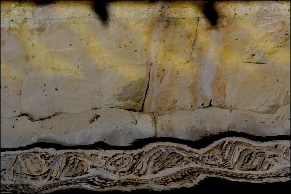 Jardins et nouvelle heure Jardins de la Fontaine, Nîmes, Parcs, Jardins publics, poissons, nymphée, couleurs