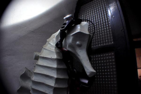 Monkey Eyes (221) Hippocampe à la Petzel