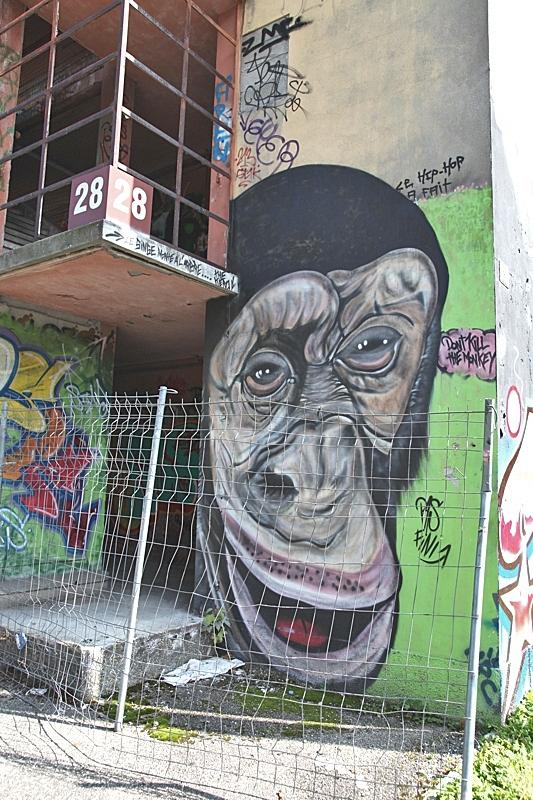 Des graffitis aux Franchises IMG_0463-sssssssss.jpg