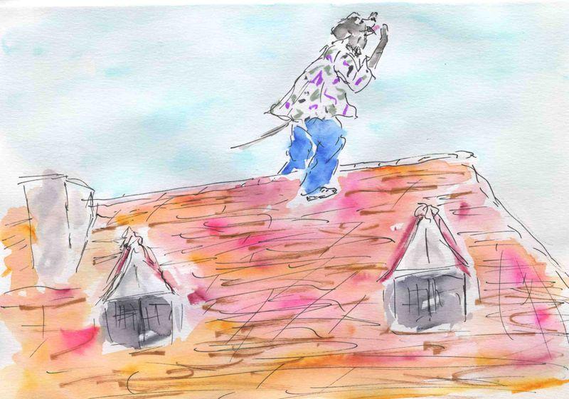 62) crier sur les toits ns 62) crier sur les toits ns