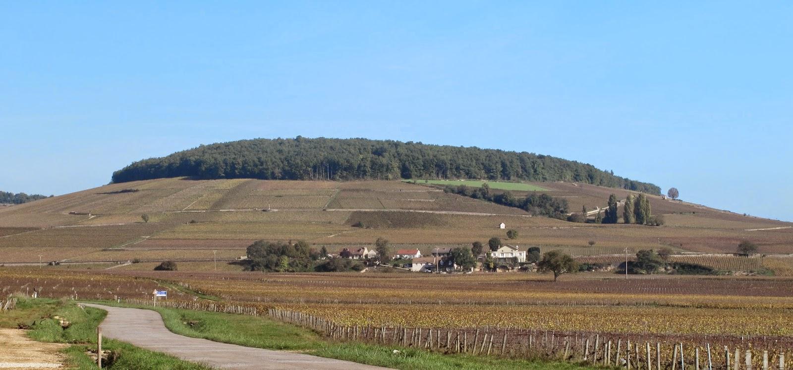 Dégustation au domaine Vincent Rapet à Pernand-Vergelesses (21)