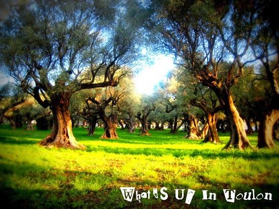 Le Moulin du Partegal Le Moulin du Partegal