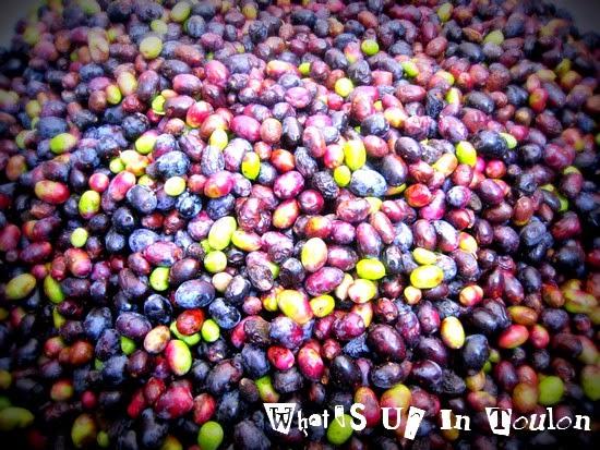 Le Moulin du Partegal Le Moulin du Partegal