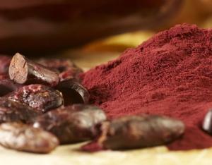 DÉCLIN COGNITIF: Des flavanols du cacao pourraient l'enrayer – Nature Neuroscience