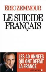 la curée contre Zemmour c'est bon signe Zemmour, politique, histoire, France, amaury watremez
