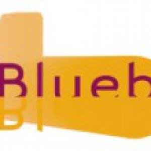 La complexification des usages web en l’espace de 10 ans, reportage exclusif. Blueboat a 10 ans… ouais et alors !