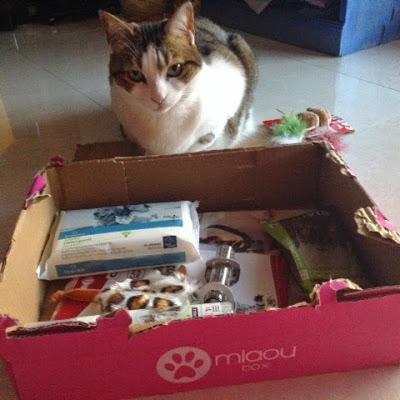 Lou et Kala vous présentent la Miaoubox Animalis ...