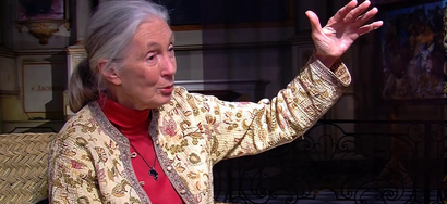 Jane Goodall veut donner de l'espoir aux gens
