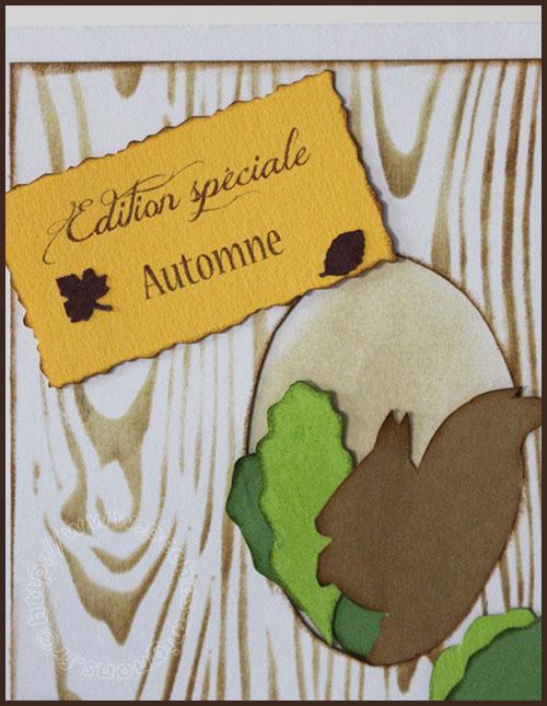 Carte scrap #17 Carte scrap #17