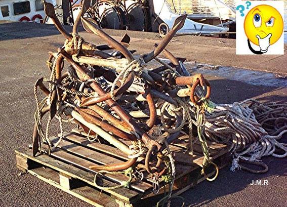 Etat critique... Quizz-des-pattes-d-ancres