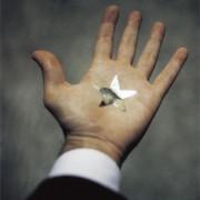 Exposition « Being Beauteous » & Jean-François Joly au Chateau d’Eau | Toulouse Exposition « Being Beauteous » & Jean-François Joly au Chateau d’Eau | Toulouse