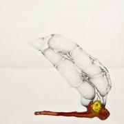 Fred DEUX - dessin - Sperme coloré, 1973, mine de plomb et encres, 44 x 36 cm