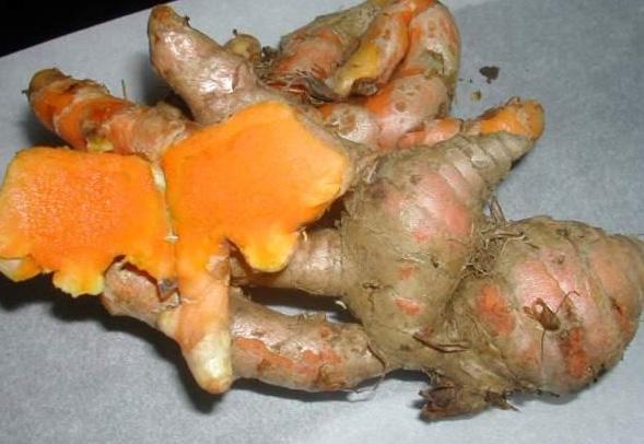 La curcumine et le glutathion CURCUMA