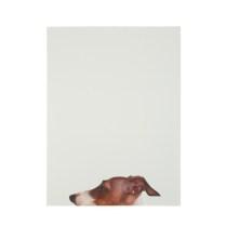 THANK YOU STUDIO Les carnets de Thank You Studio