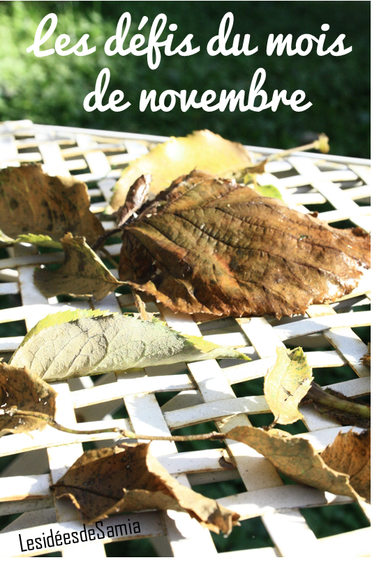 Les défis du mois de Novembre Les défis du mois de Novembre