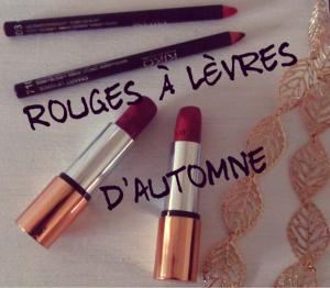 Liebster award ! rouges à lèvres d'automne
