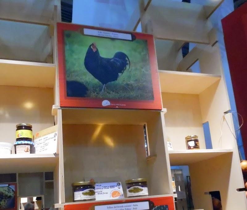 La poule d'Alsace à Terra Madre 2014