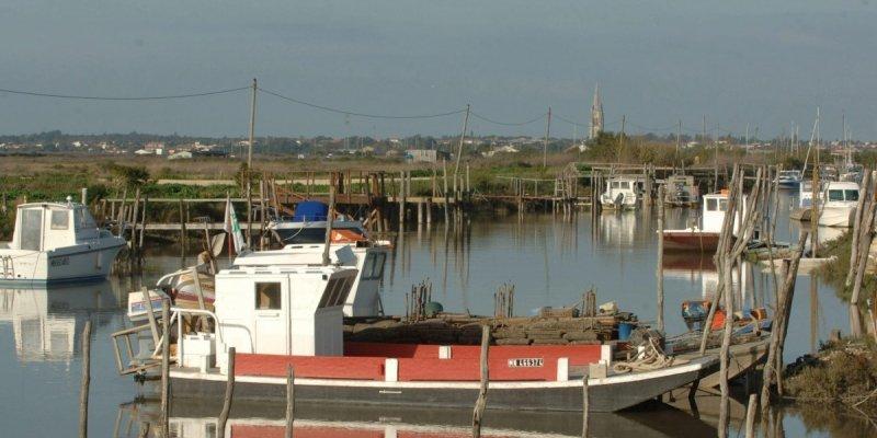 Charente-Maritime : 37 % d'entreprises conchylicoles en moins Charente-Maritime : 37 % d'entreprises conchylicoles en moins