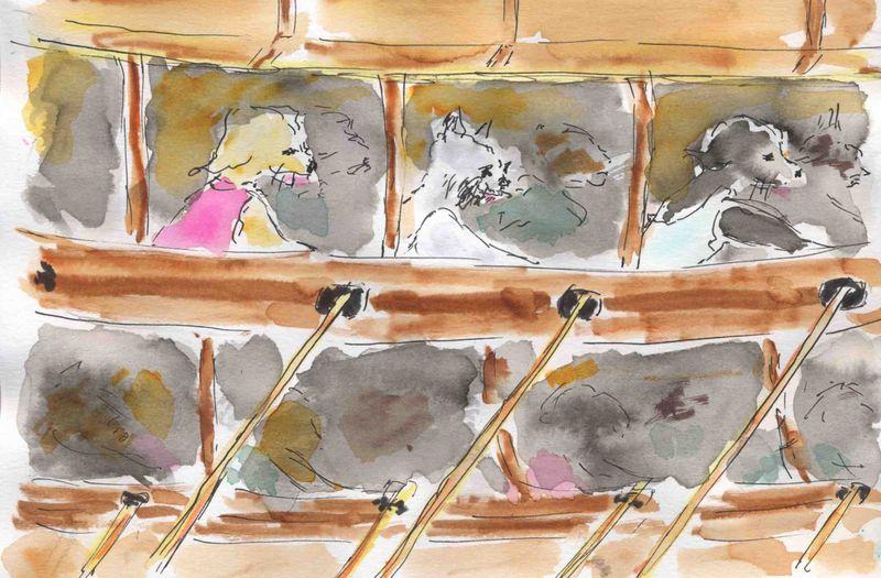 204) quelle galère 204) quelle galère