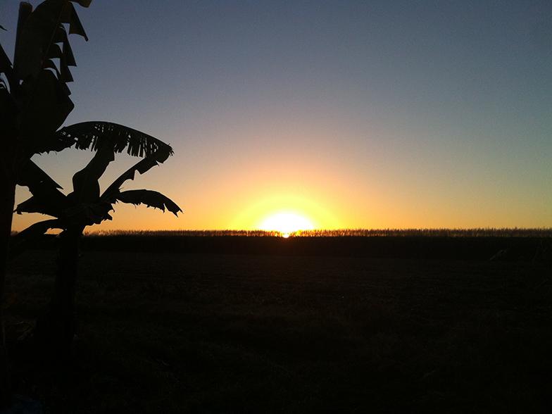 Voyage en Australie III : de Brisbane à Cairns, retour à Brisbane pour le Night Noodle Market Tully3 Voyage en Australie III : de Brisbane à Cairns, retour à Brisbane pour le Night Noodle Market