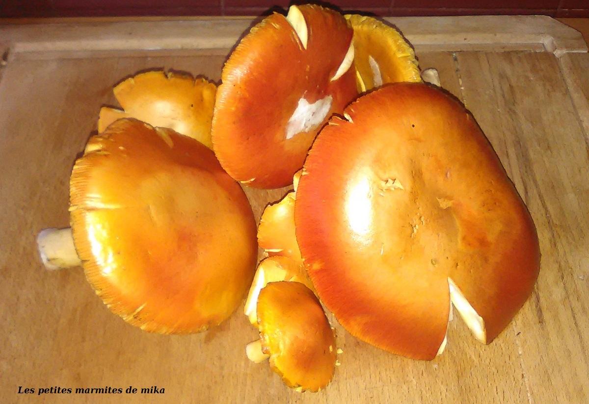 Les oronges, de superbes petits champignons des bois au goût exquis.