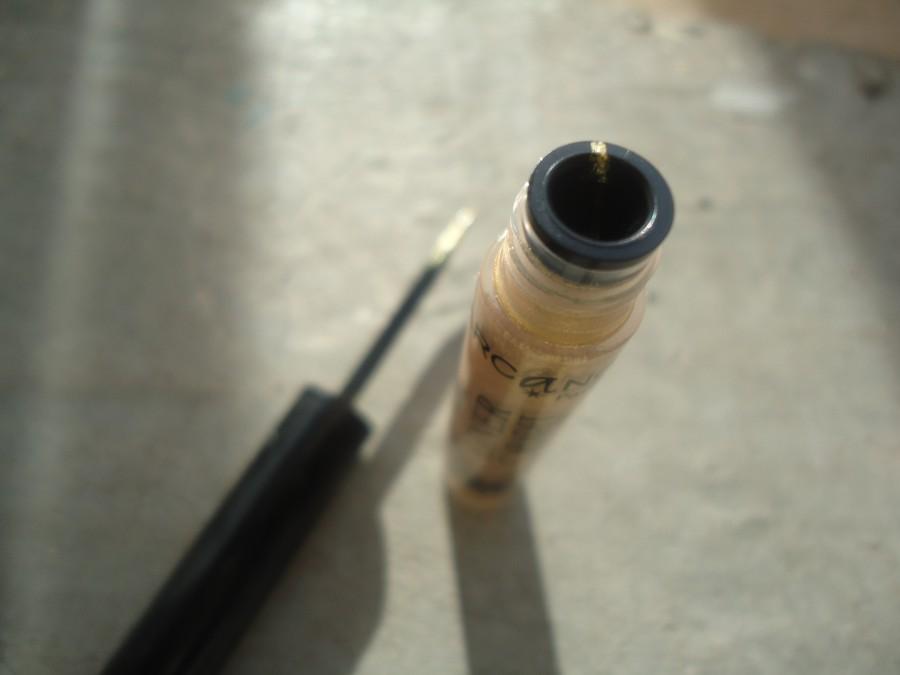 Cédez à la « Divine Tentation », Arcancil Paris DSC07881