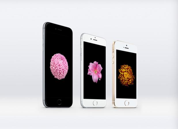Flower Series Wallpaper pour iPhone 6, iPhone 6 Plus et iPhone 5S