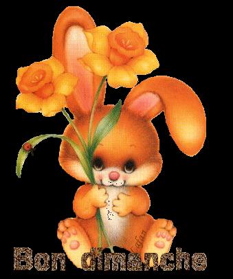 Objectif du jour et bon dimanche bon dimanche